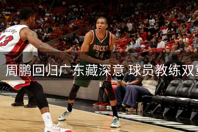 周鹏回归广东藏深意 球员教练双重角色引猜想
