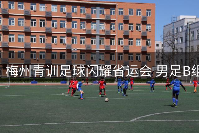 梅州青训足球闪耀省运会 男足B组狂轰6球勇夺季军
