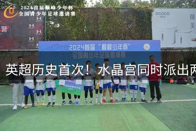 英超历史首次！水晶宫同时派出两名日本球员出战