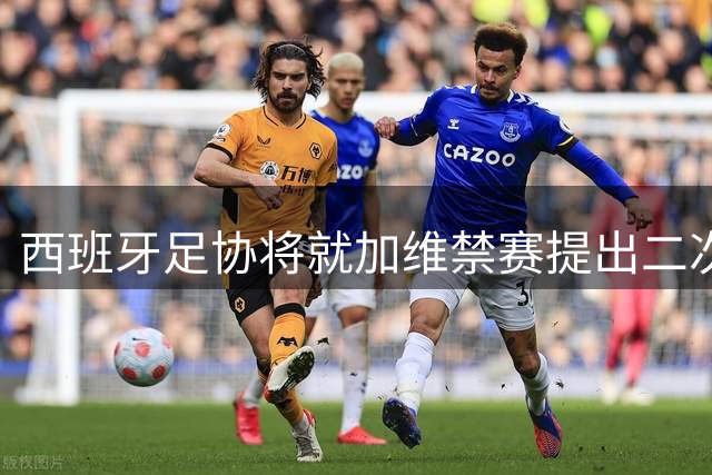 西班牙足协将就加维禁赛提出二次上诉